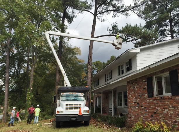 Best Weed Control  in Myrtle Grove, NC